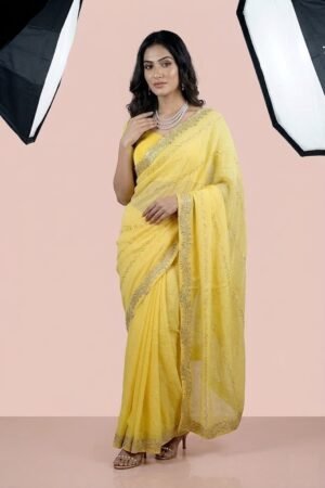 Womens Shimmer Chiffon Embroidered Hot Fix Stone Work with Lace/Swarovski Crystal Saree With Blouse